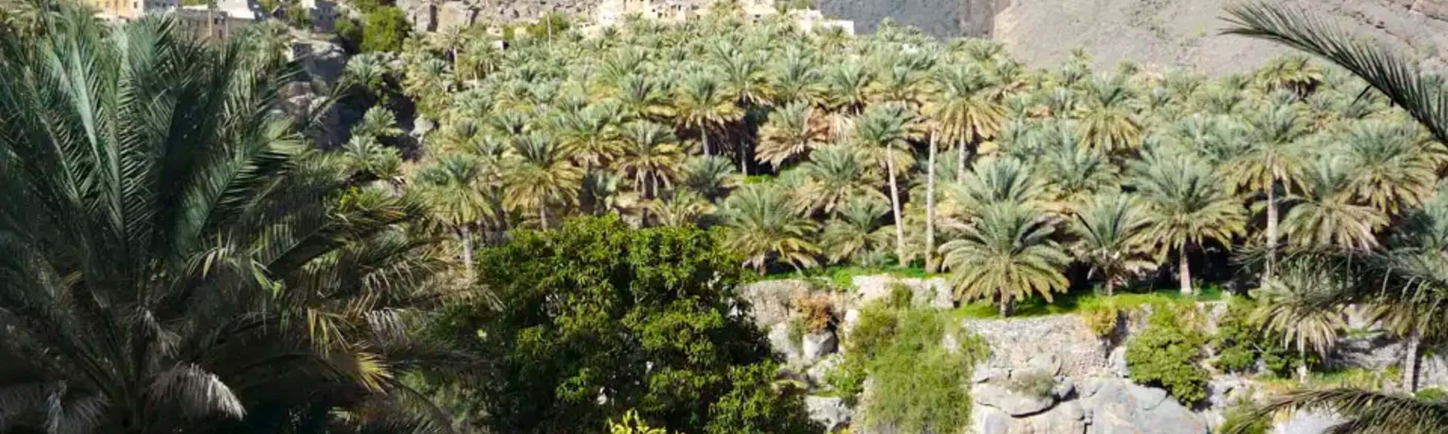 Oman – Wanderreise durch Wadis, Dünen & Gebirge