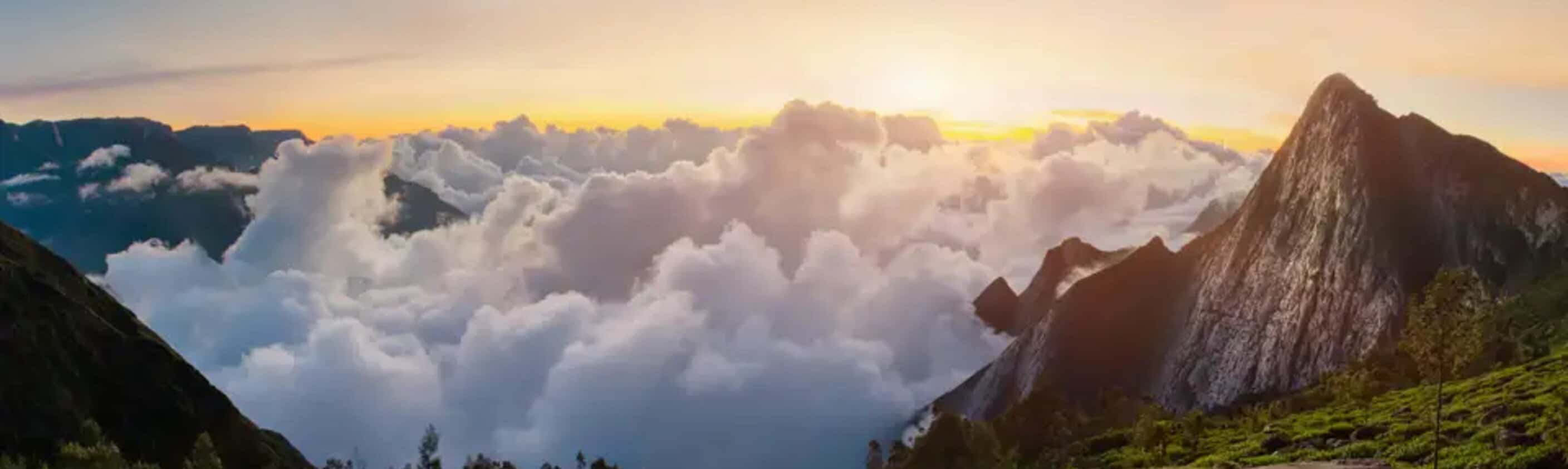 Indien – Trekkingreise in Kerala
