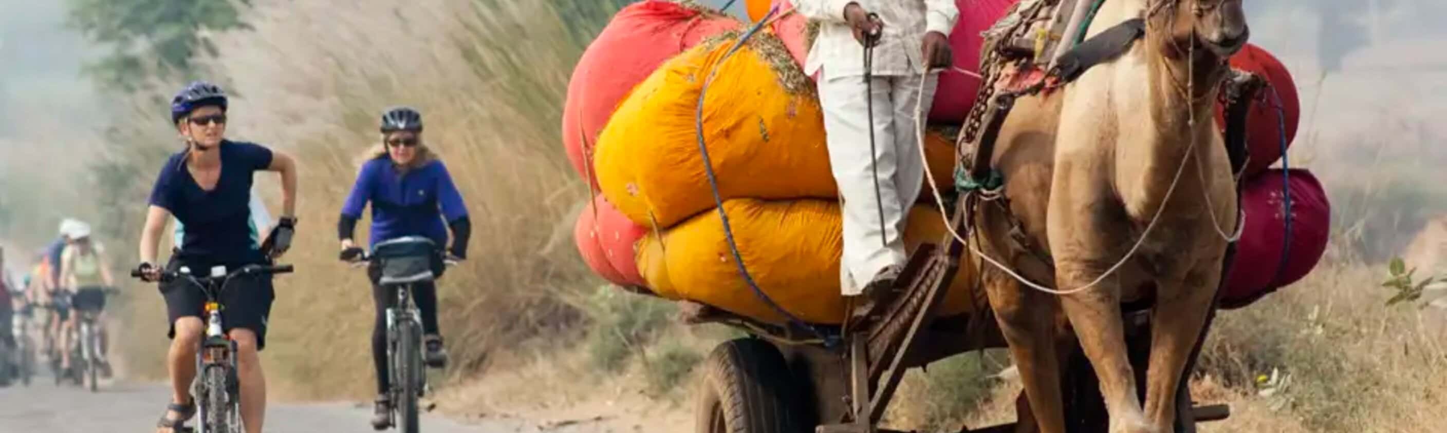 Indien – MTB Reise durch Rajasthan zum Taj Mahal