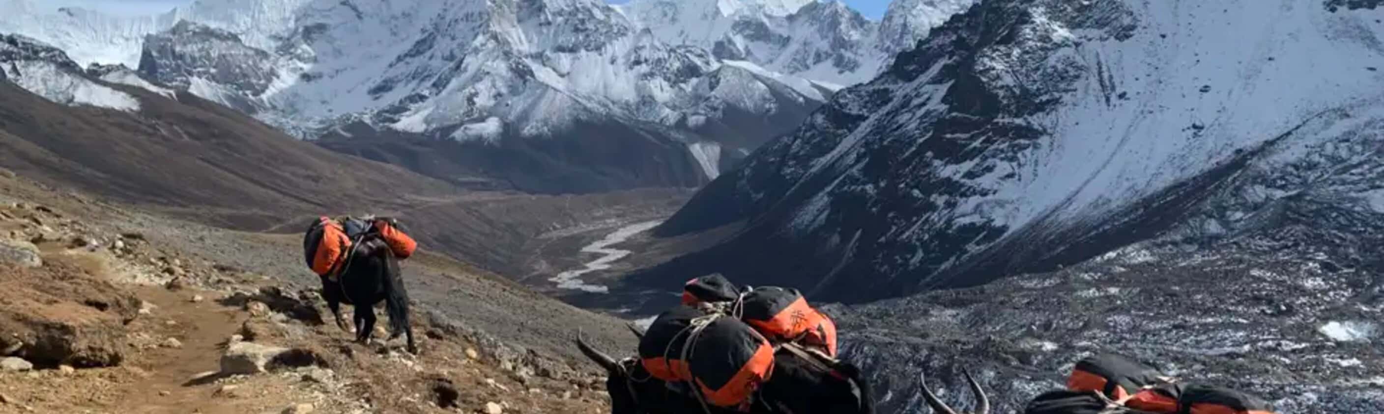 Nepal – Three Passes Trek