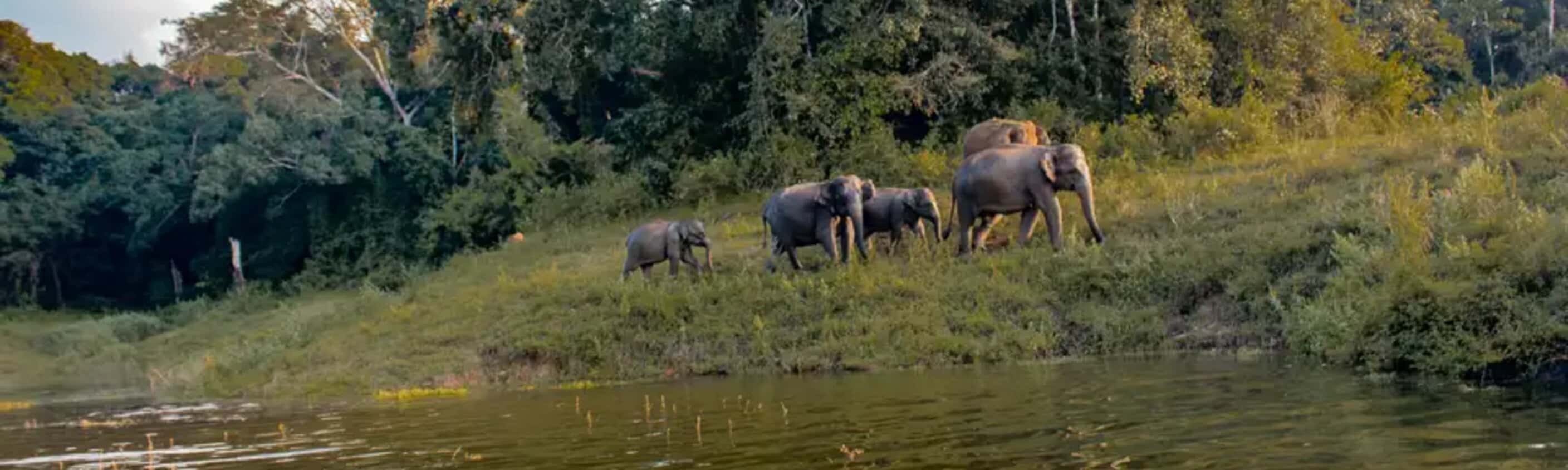 Sri Lanka – Knuckles Range & Pekoe Trail