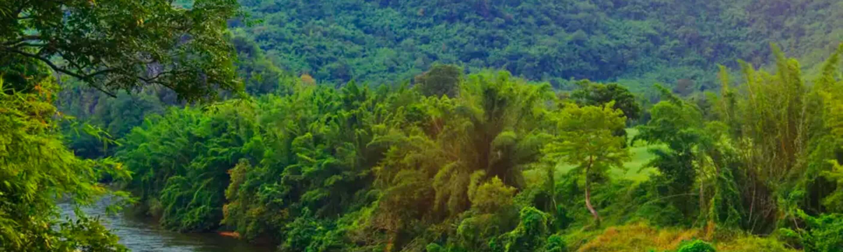 Thailand – Königsstädte und Trekking im Dschungel