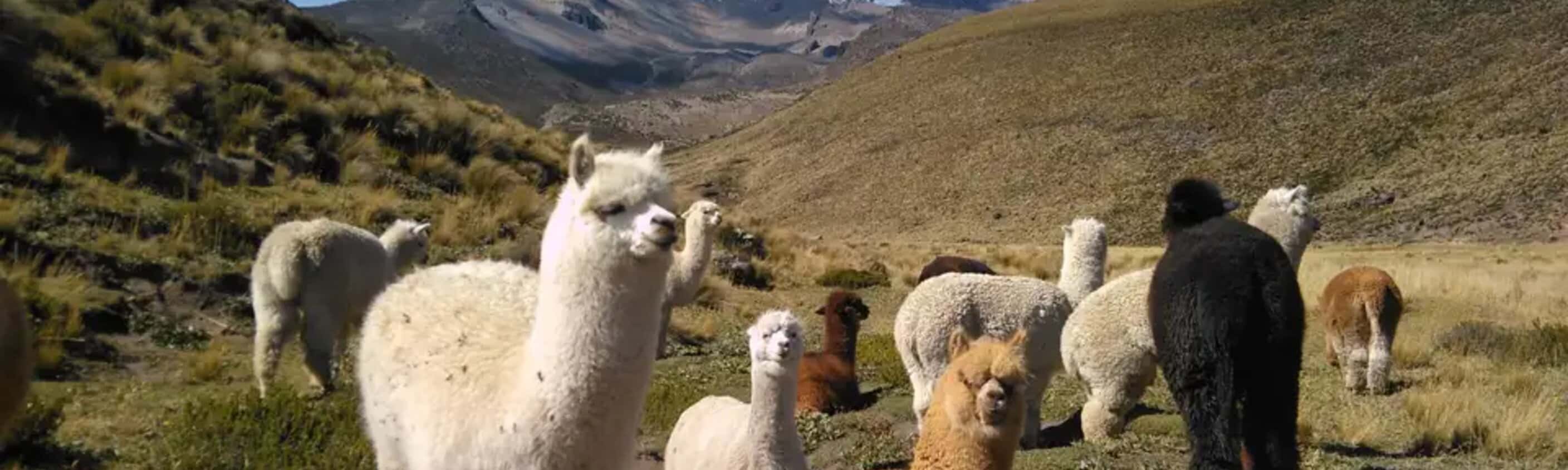 Ecuador – Straße der Vulkane