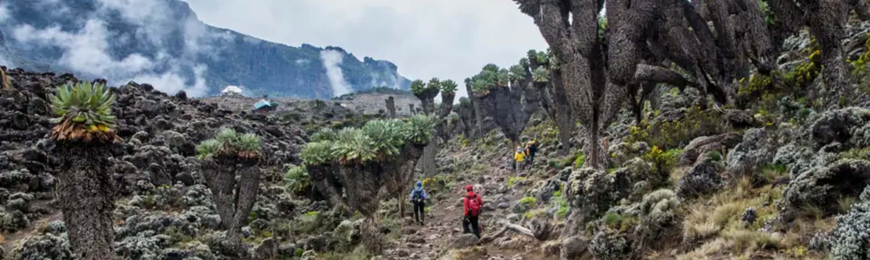 Kilimanjaro – Machame-Route (Wunschtermin)