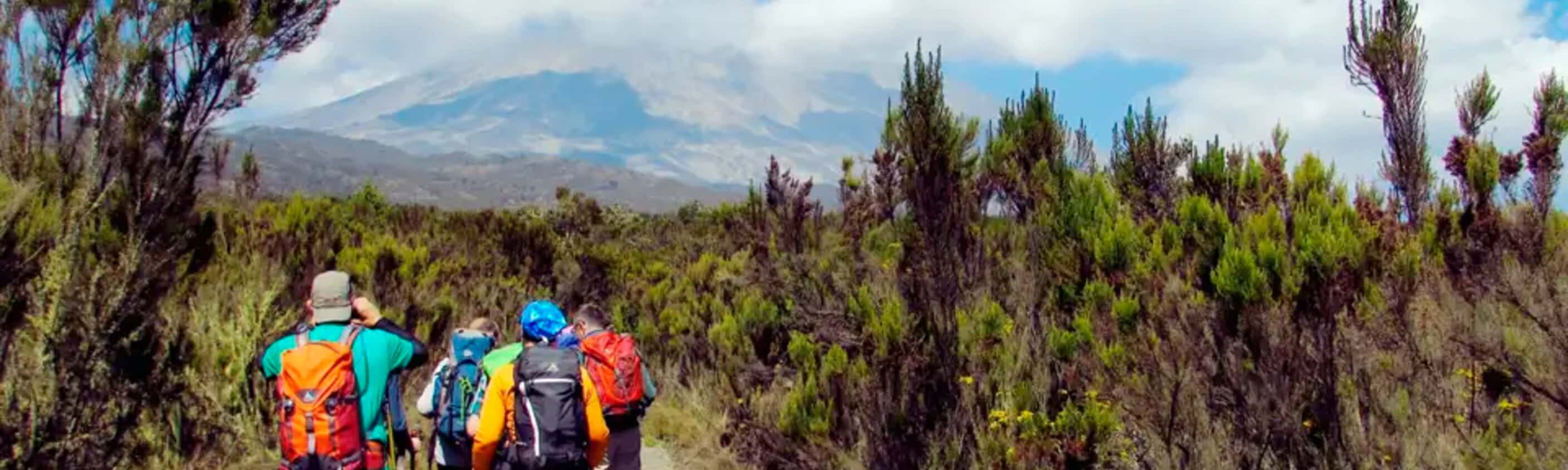 Kilimanjaro – Überschreitung auf der Kikelewa-Route