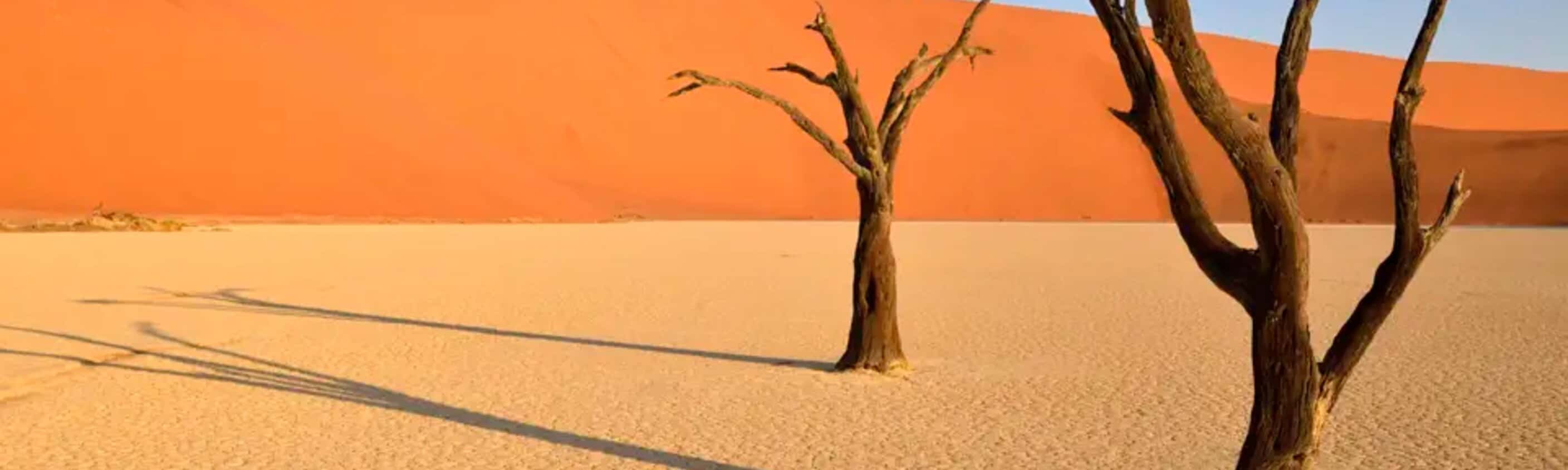 Namibia mit Egmont Strigl – Reise durch die Namib Wüste