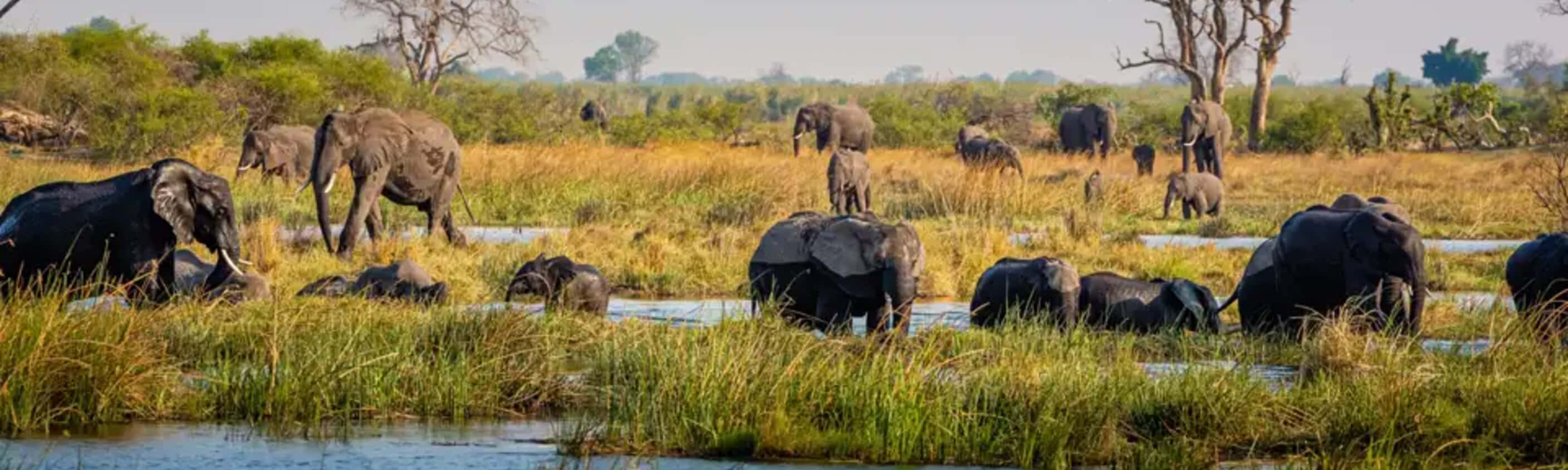 Namibia, Botswana – Erongo-Gebirge, Safari und Viktoriafälle