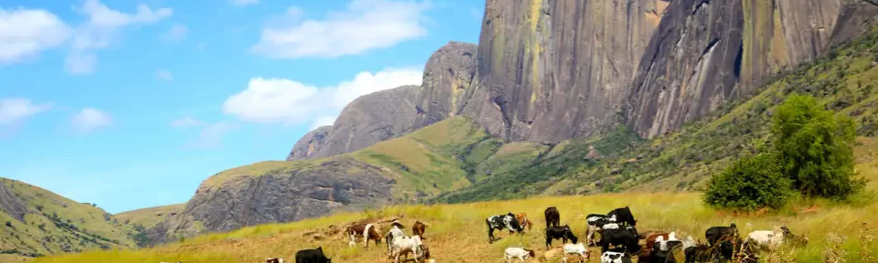 Madagaskar – Trekking durch die Wildnis