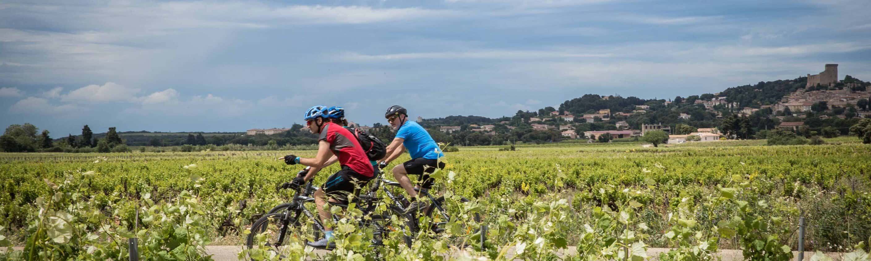 Cycle Provence