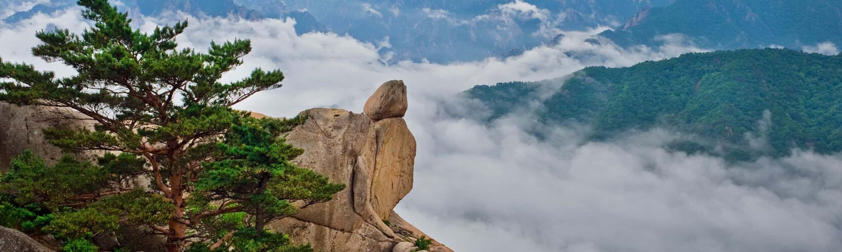 South Korea Highlights