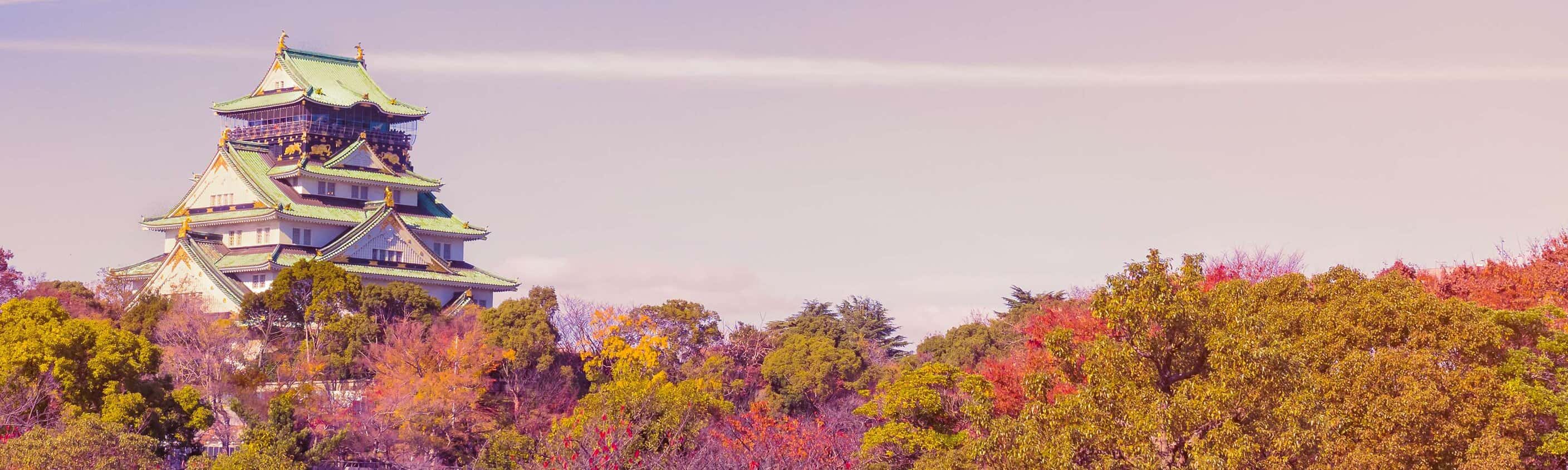 Southern Japan Experience