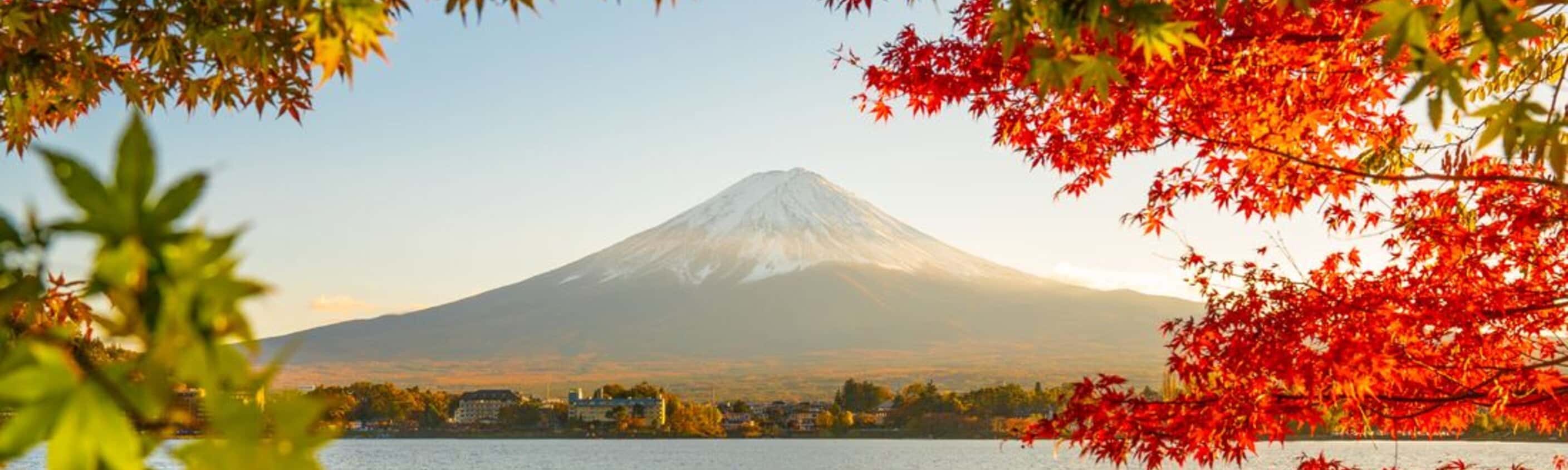 Ultimate Japan