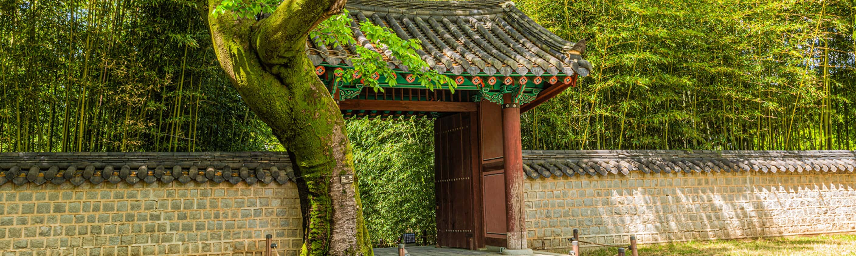 Essential South Korea
