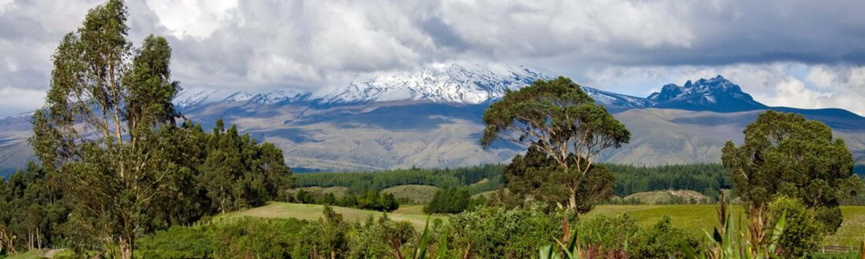 Mainland Ecuador and Galapagos Cruise