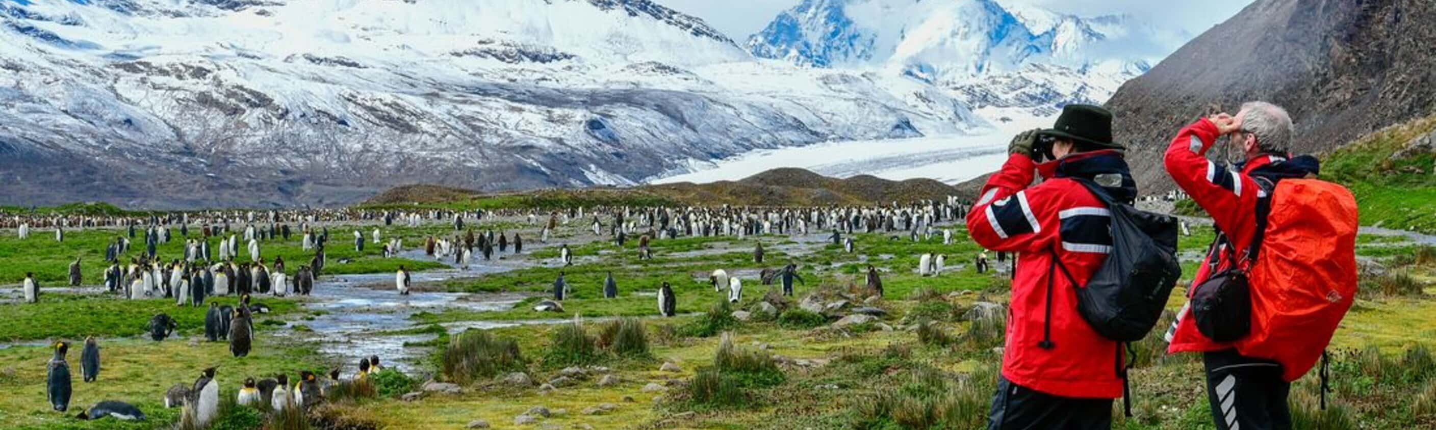 Extended Falklands, South Georgia and Antarctica (Ocean Nova)