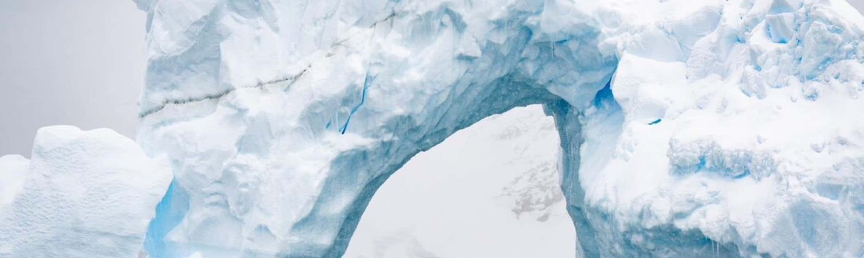 Exploring Antarctica's Spring (Ocean Albatros)