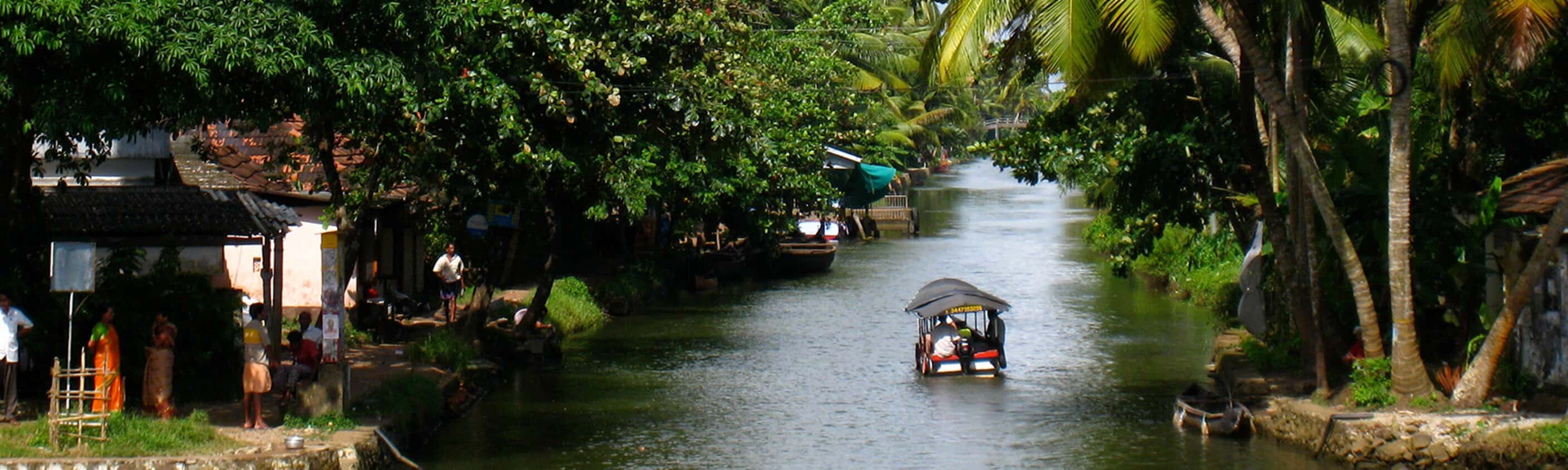 Premium South India