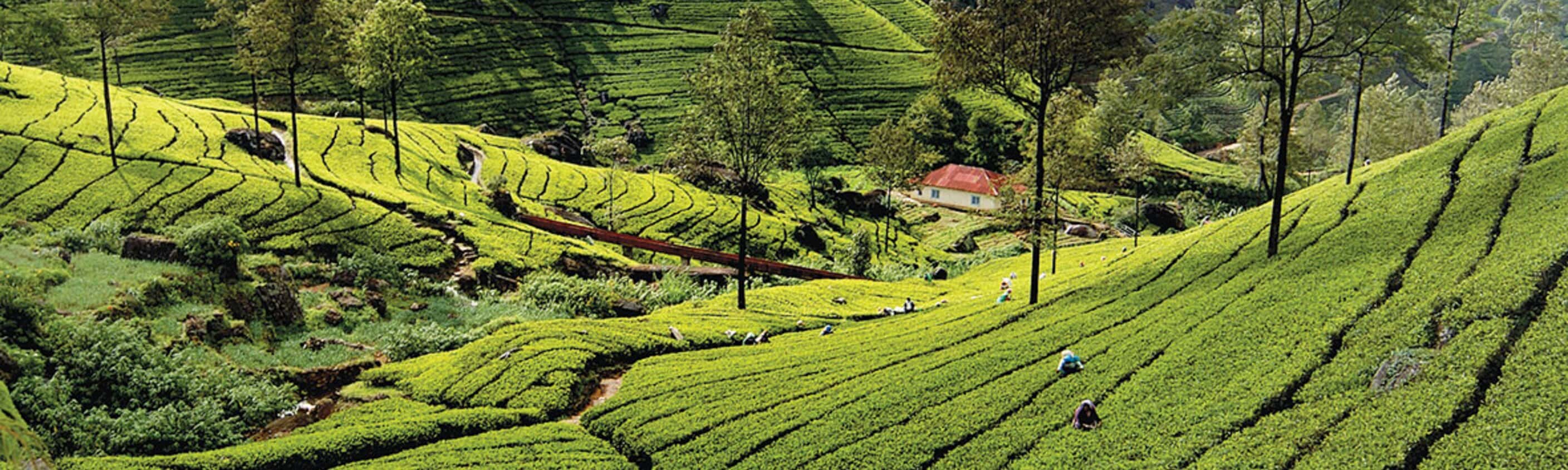 Sri Lanka: Hike, Bike & Kayak