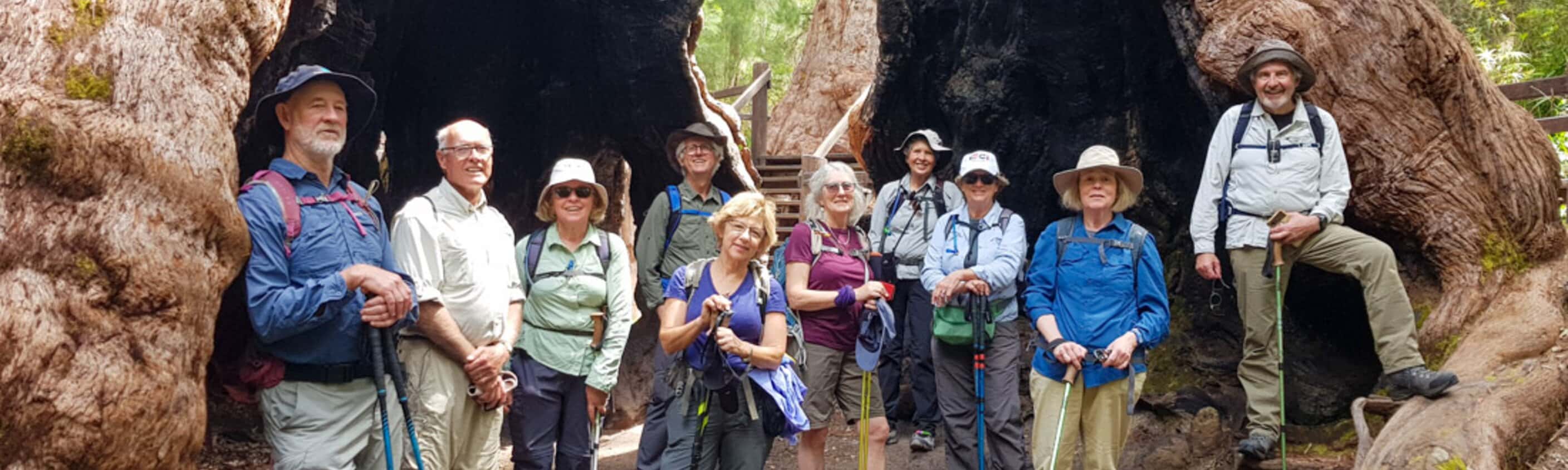 Hike the Bibbulmun Track: Walpole to Denmark