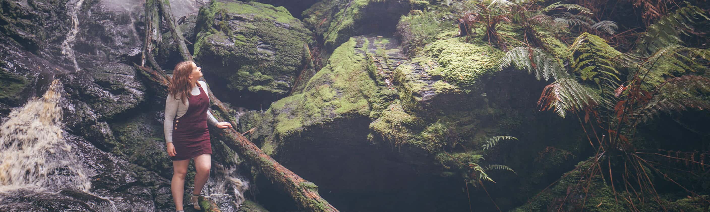 Walk Tasmania's Tarkine & Cradle Mountain