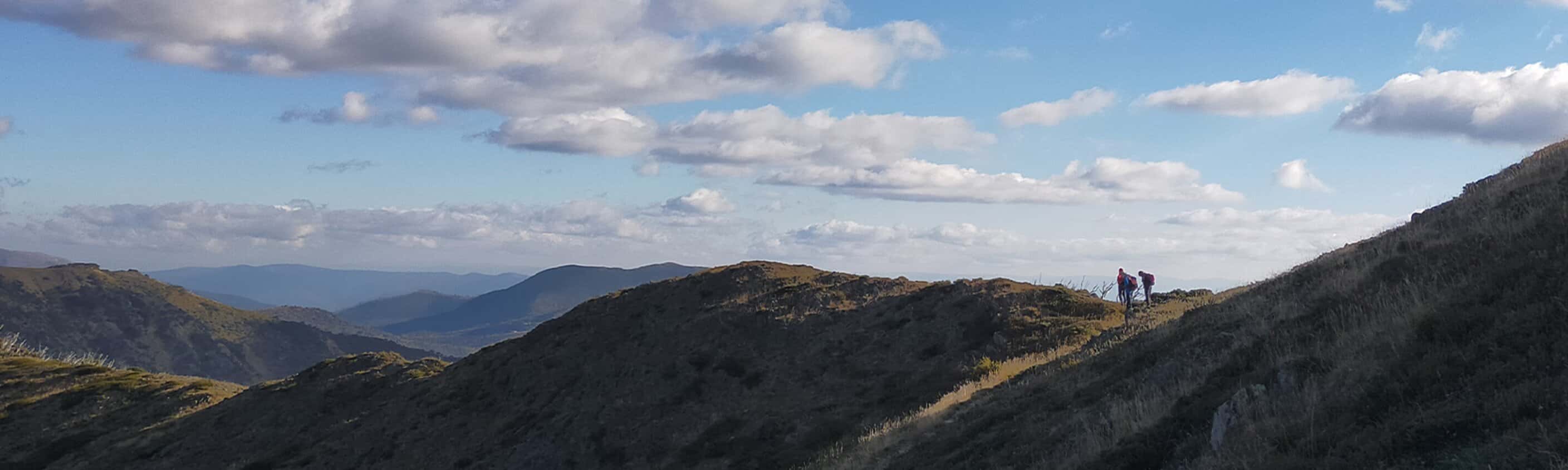 Walk Victoria's High Country