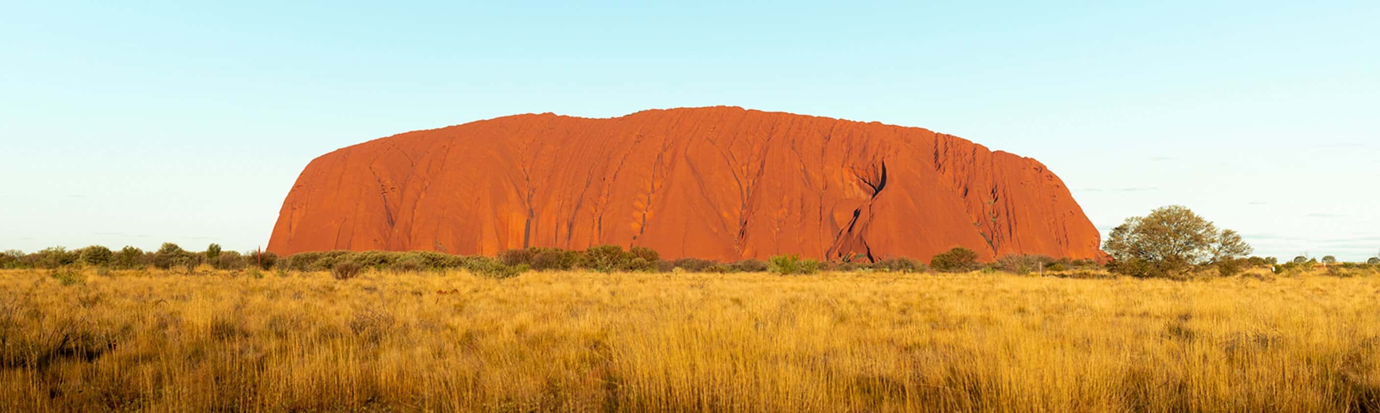 Best of Uluru & Kings Canyon