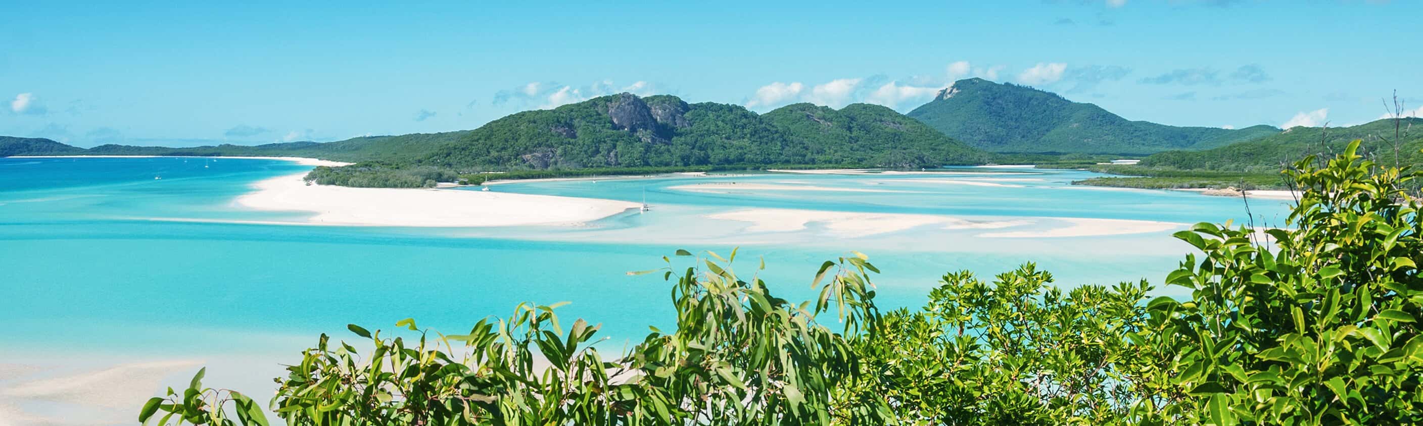 Brisbane to Cairns Adventure