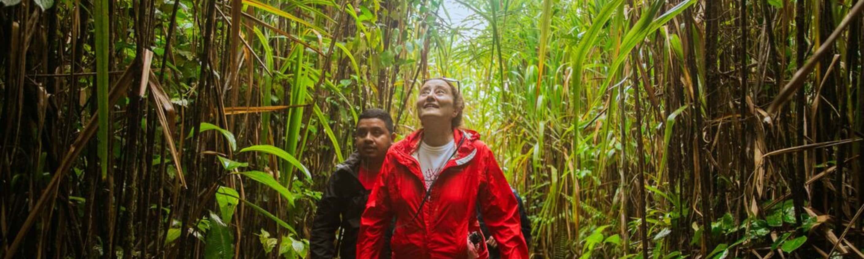 Premium Costa Rica: Tortuguero and Caribbean Coast