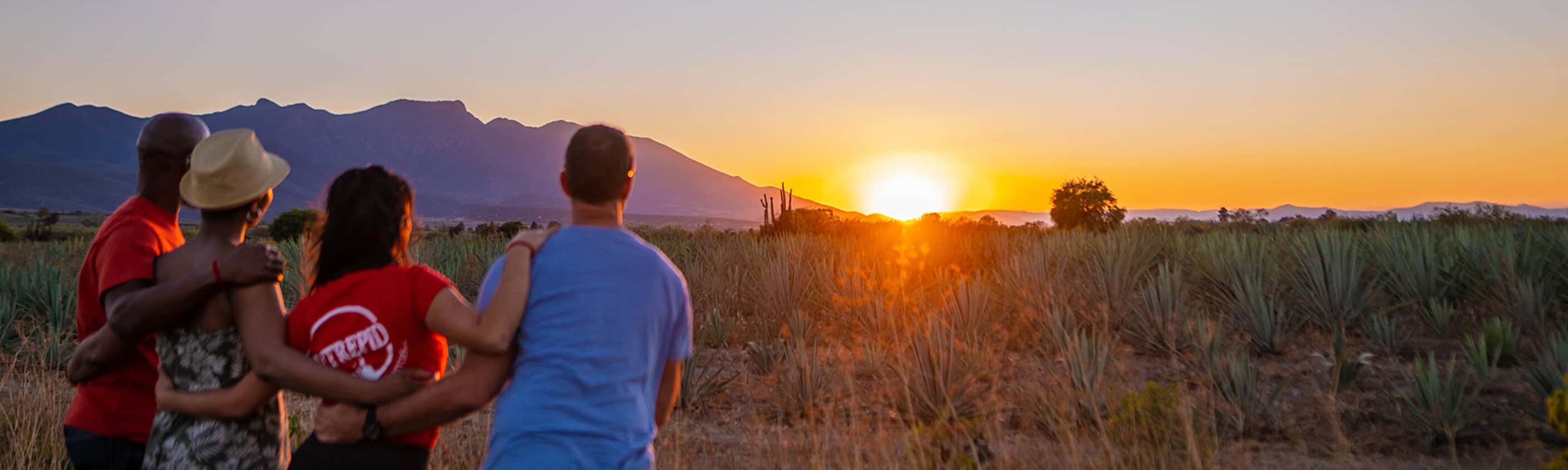 Premium Mexico in Depth