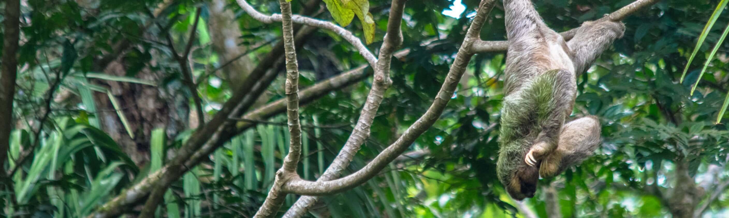 Best of Central America