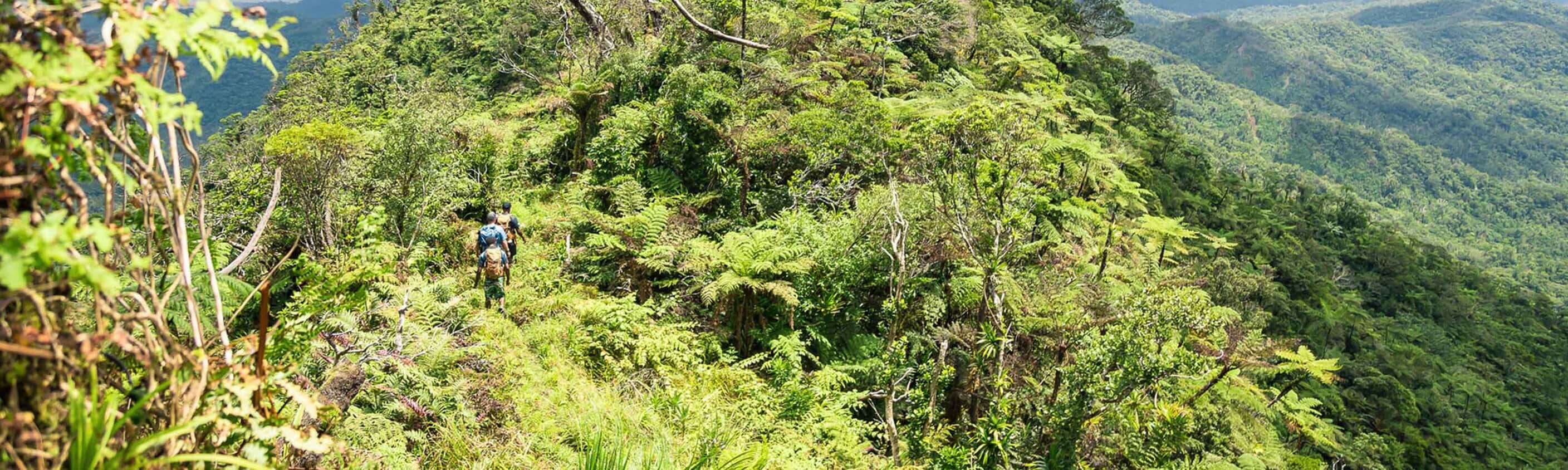 Fiji: Hike, Raft & Snorkel