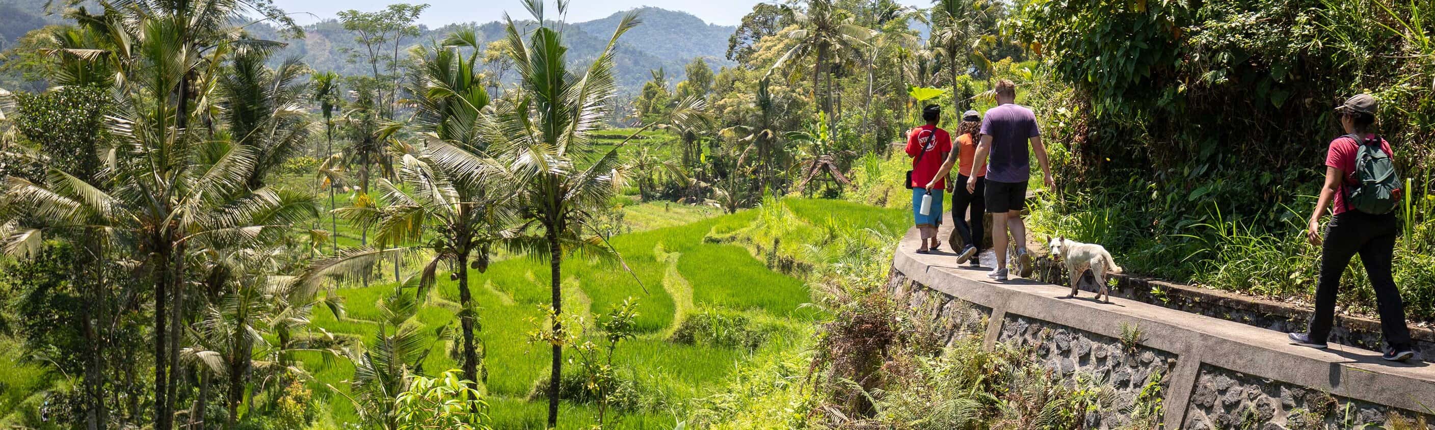 Bali & Lombok Adventure