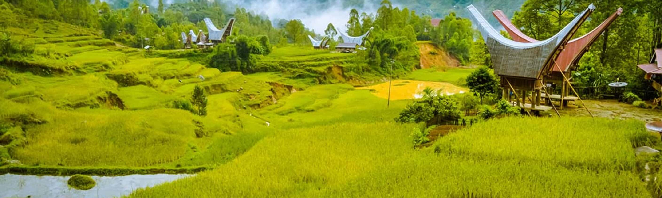 Indonesia Expedition: Sulawesi & Toraja Tribes