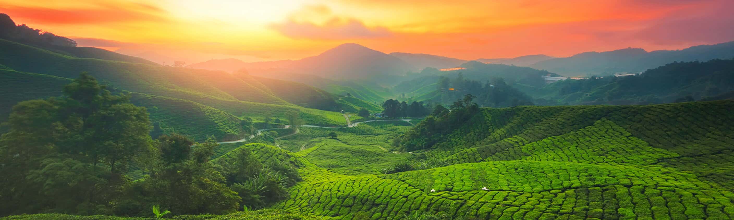 Malaysia Highlights