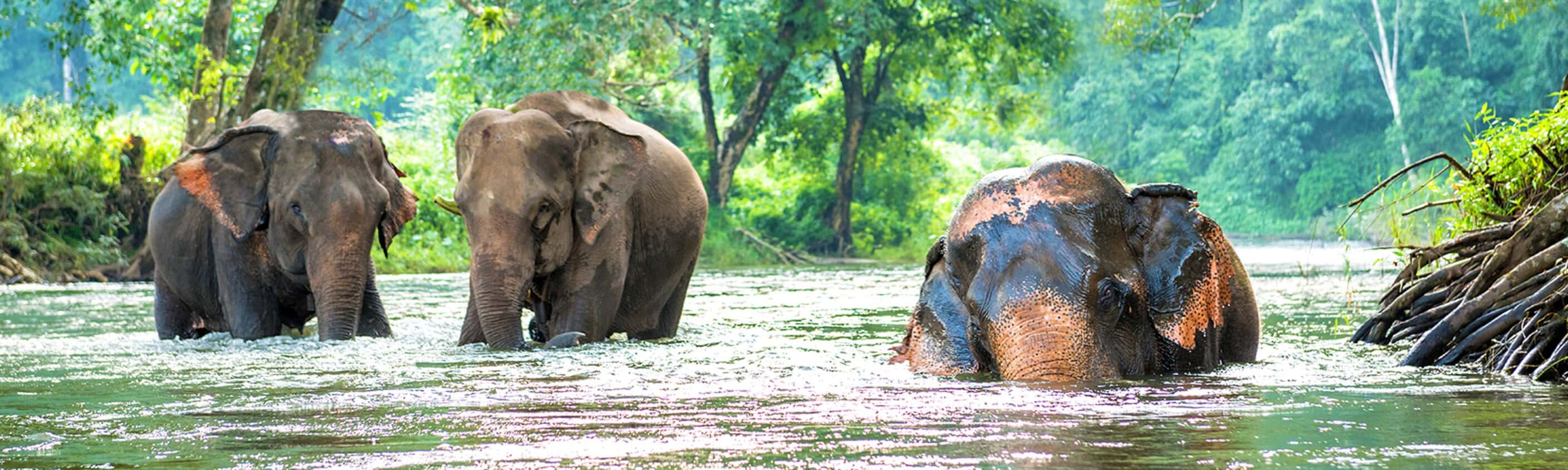 Explore Northern Thailand
