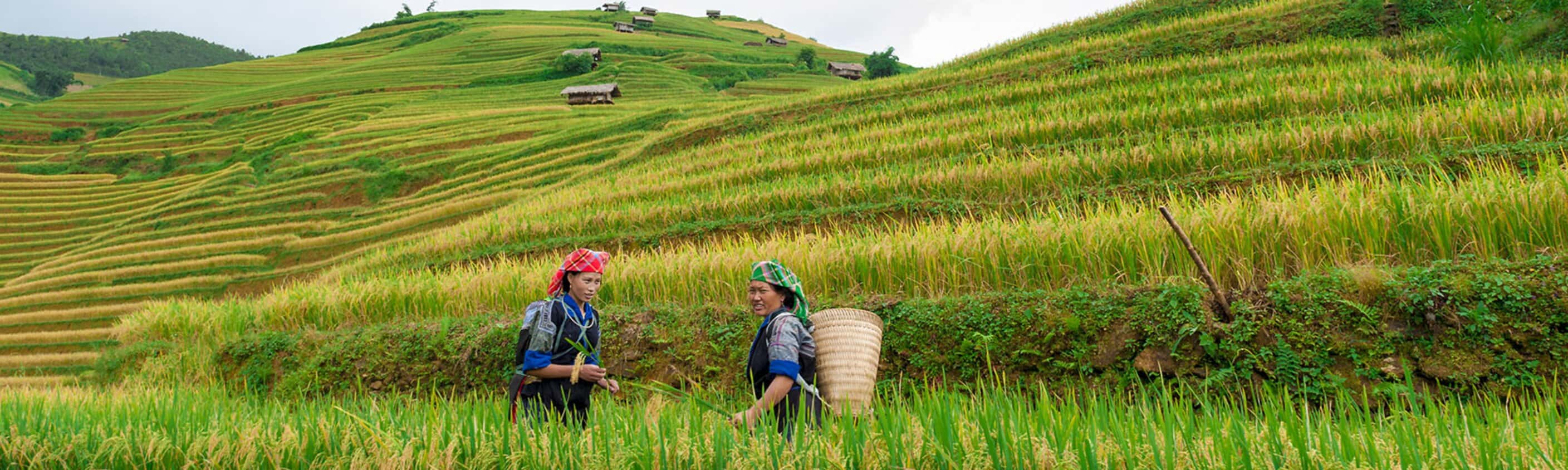 Hiking in Sapa Independent Short Break