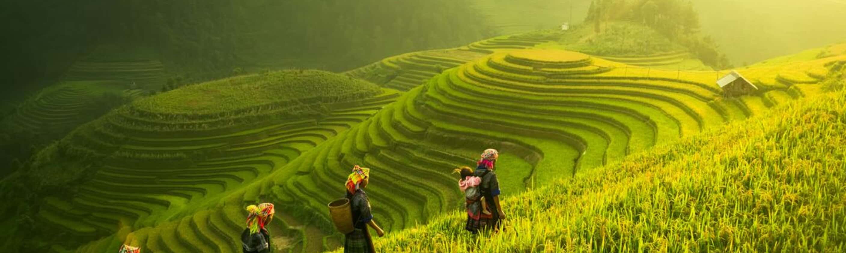 Premium Walking & Hiking in Vietnam