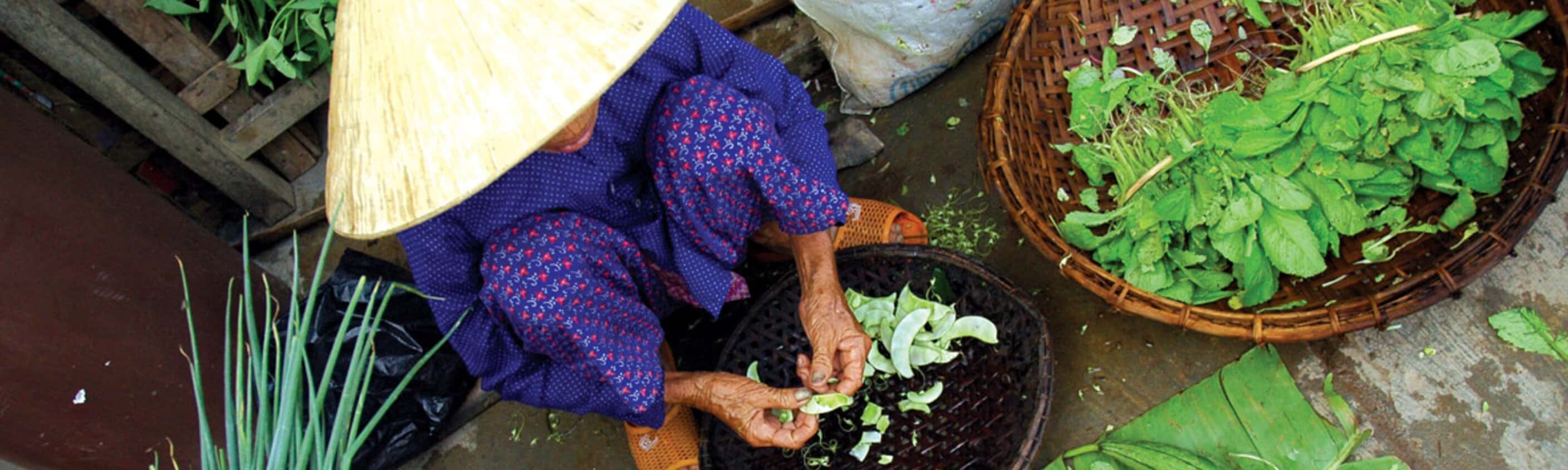 Vietnam & Cambodia Real Food Adventure