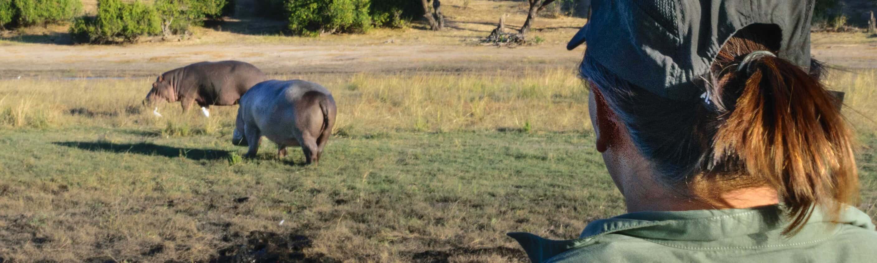 Botswana Adventure
