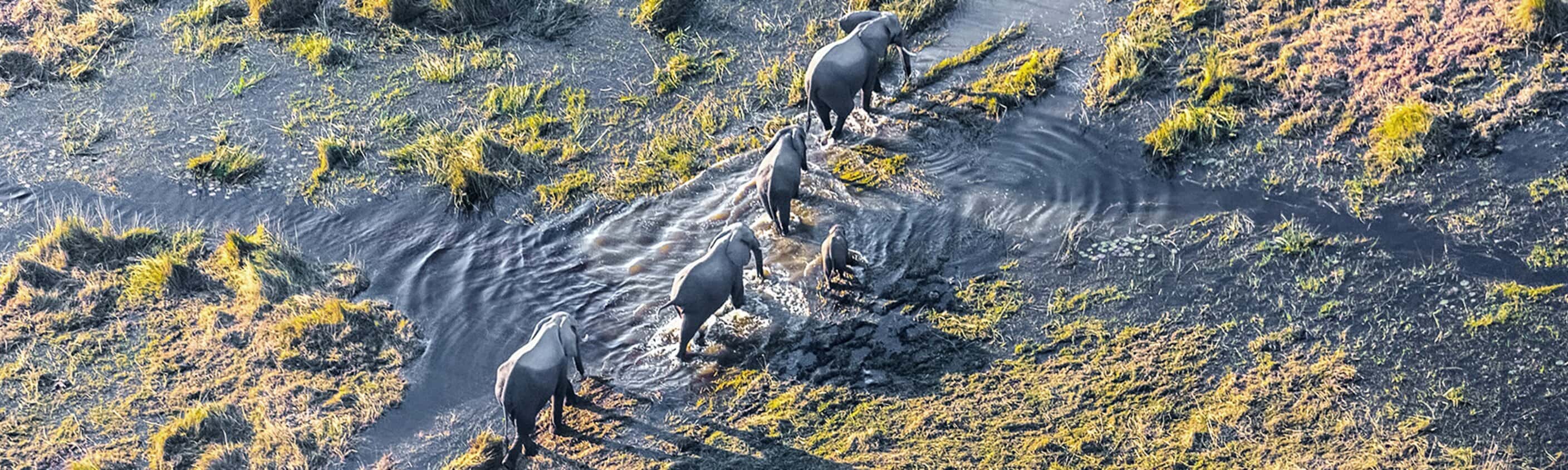 Okavango Experience