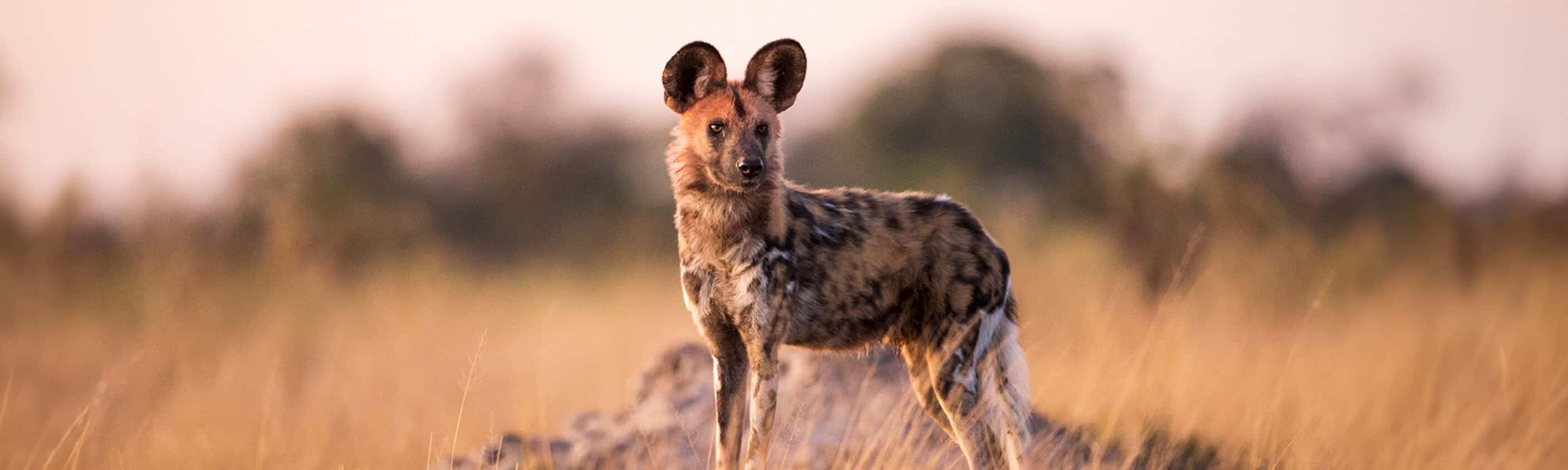 Explore Southern Africa