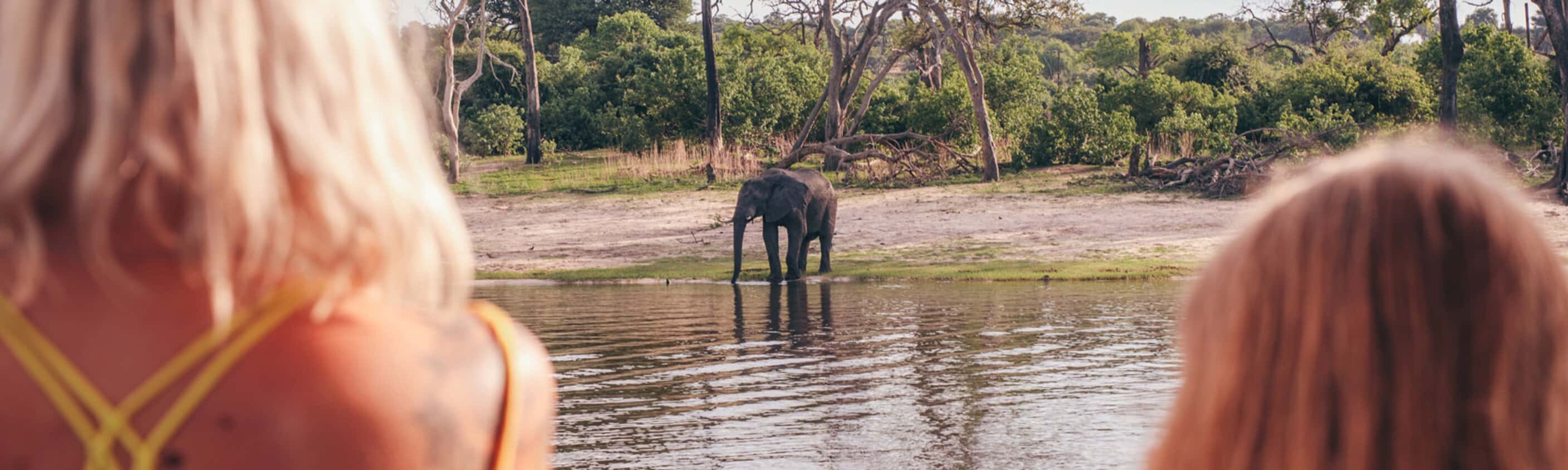 Essential Botswana