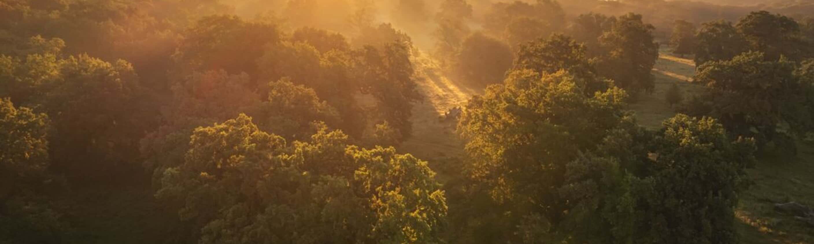Hiking in Romania: Via Transilvanica Trail