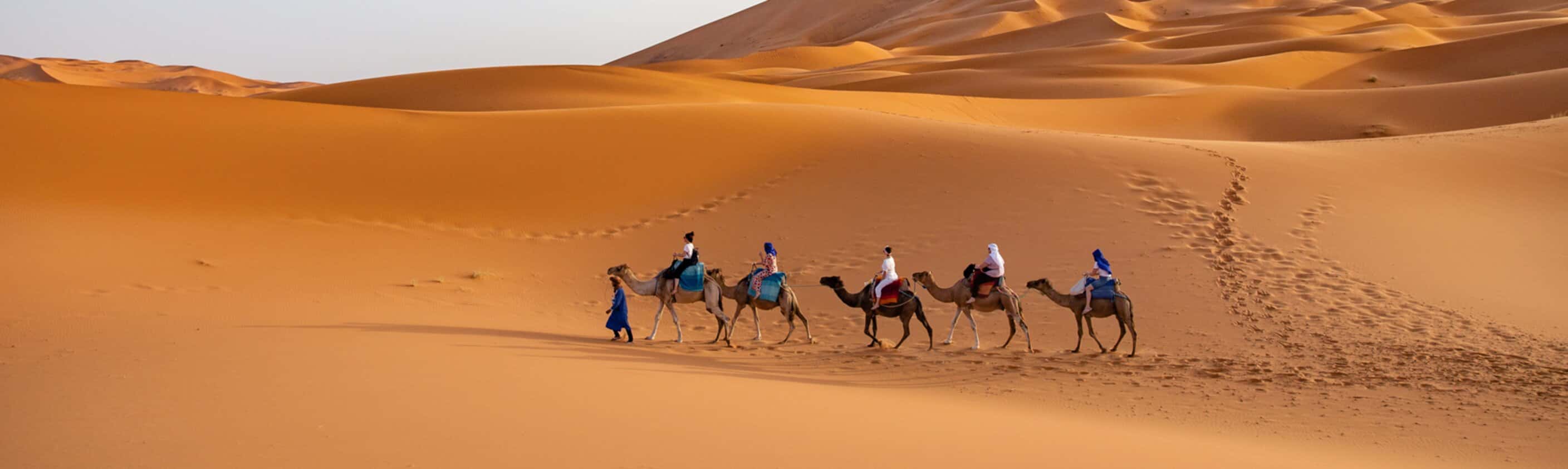 Morocco: Hike & Bike