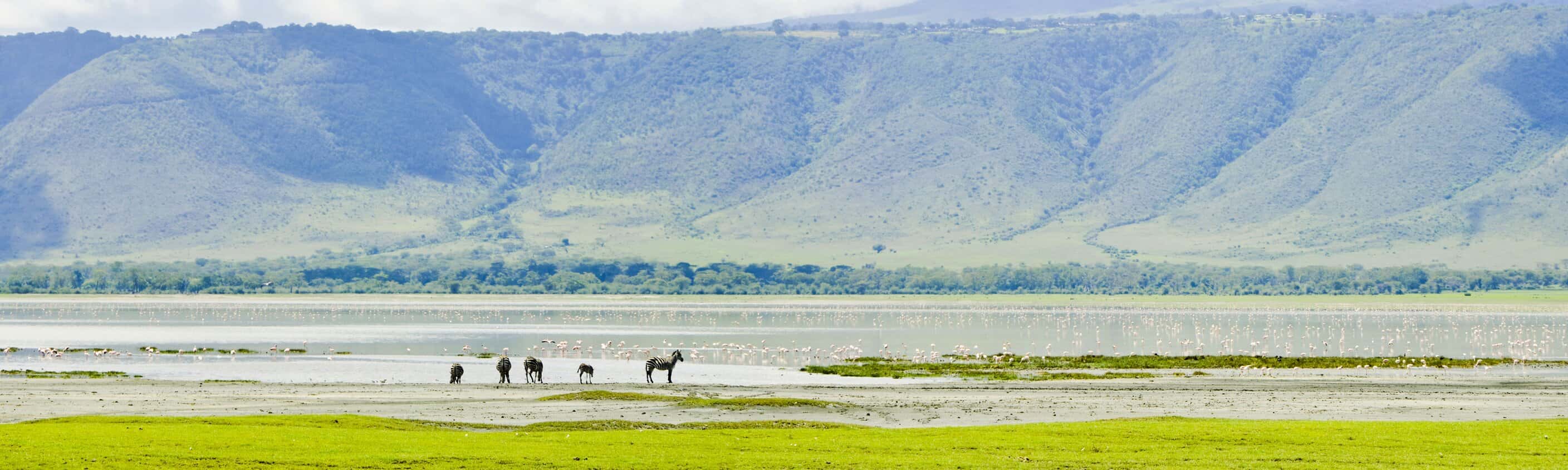 Kenya and Tanzania Family Safari