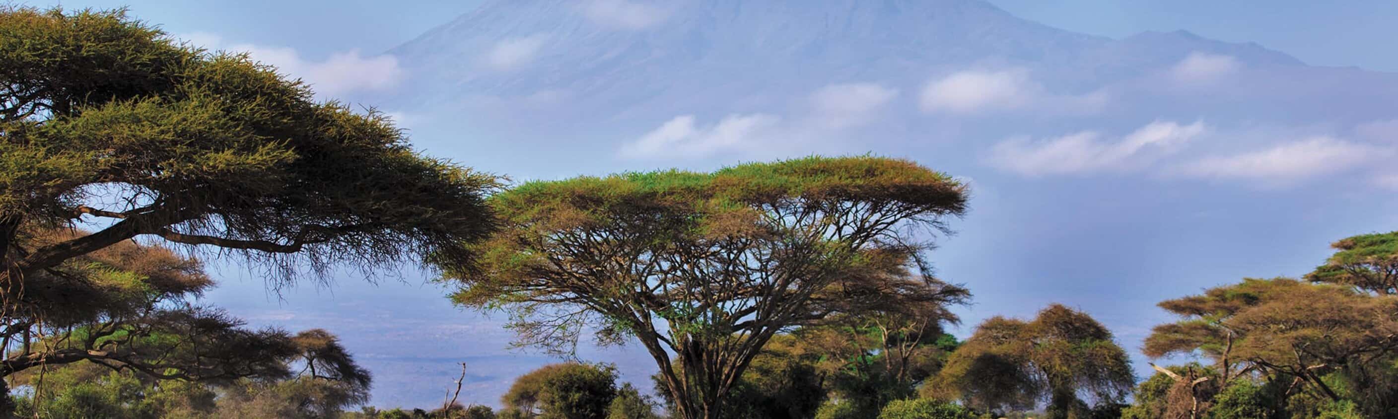 Classic East Africa