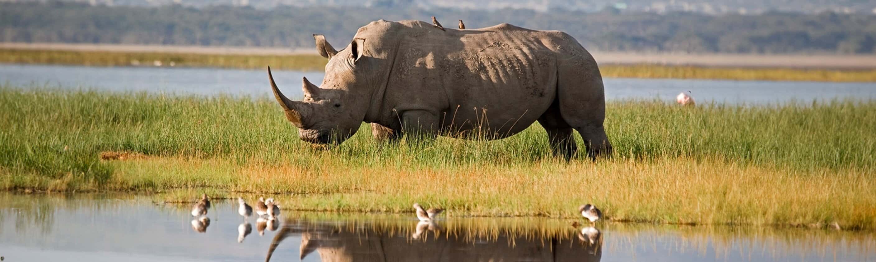 Premium Kenya & Tanzania