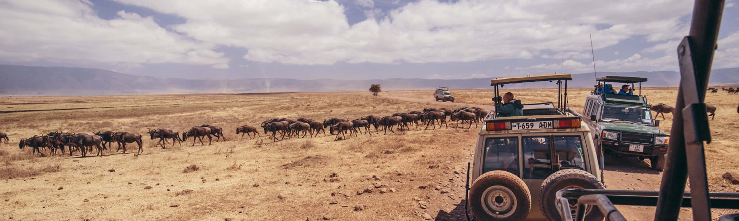Road to Zanzibar