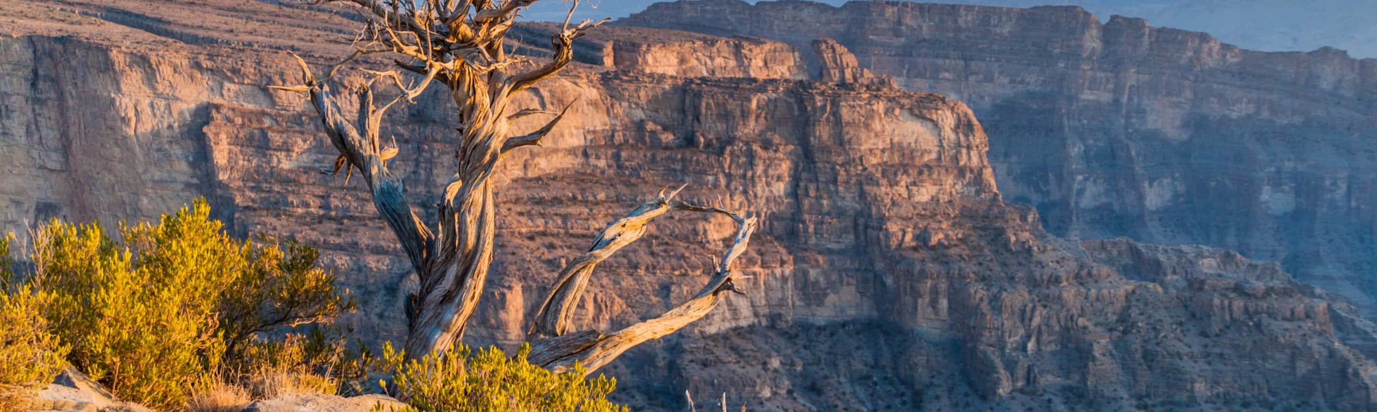 Oman gemütlich erwandern