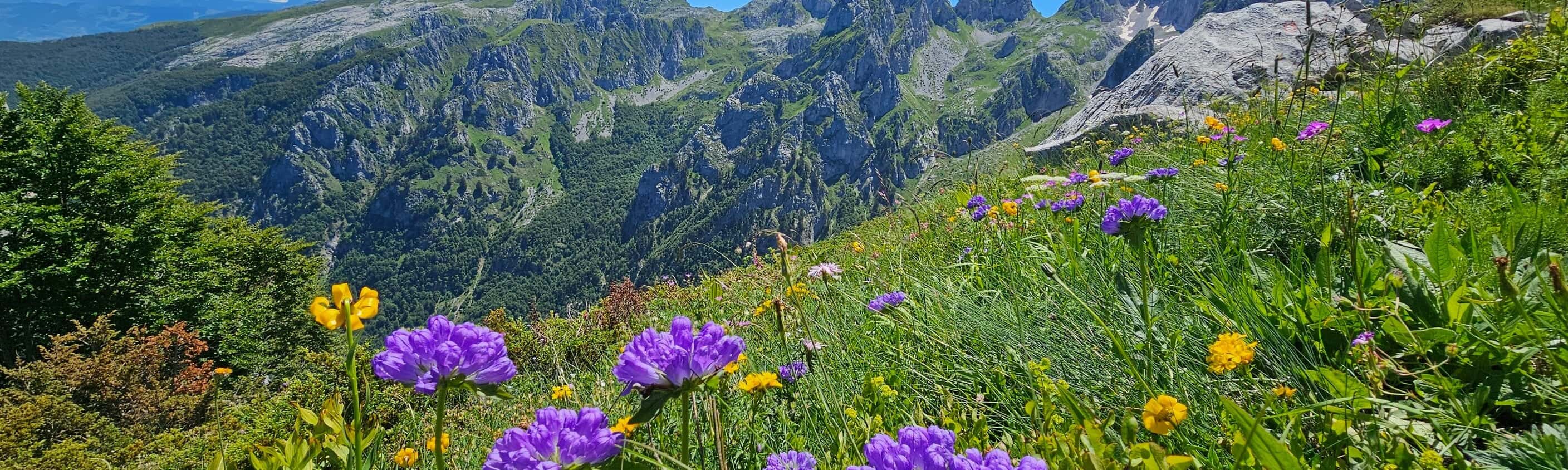 Albanien & Montenegro - Highlights der Peaks of the Balkans mit Hotelkomfort